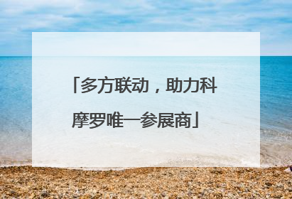 多方联动，助力科摩罗唯一参展商