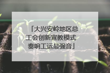 大兴安岭地区总工会创新宣教模式奏响工运最强音