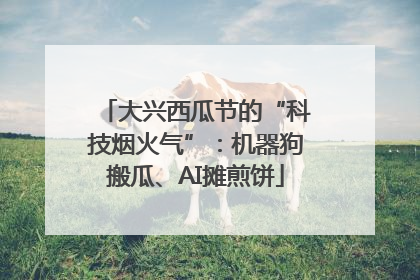 大兴西瓜节的“科技烟火气”：机器狗搬瓜、AI摊煎饼