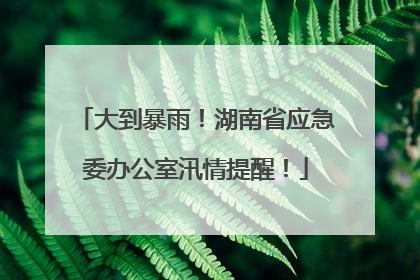 大到暴雨！湖南省应急委办公室汛情提醒！