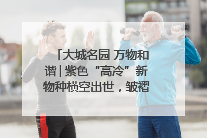 大城名园 万物和谐│紫色“高冷”新物种横空出世，皱褶叶片暗藏进化密码