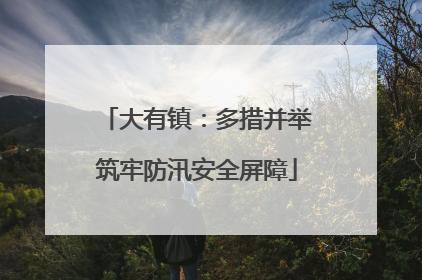 大有镇：多措并举筑牢防汛安全屏障