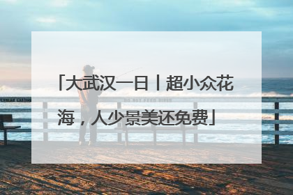 大武汉一日丨超小众花海，人少景美还免费