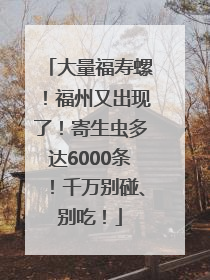 大量福寿螺！福州又出现了！寄生虫多达6000条！千万别碰、别吃！