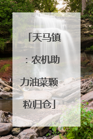 天马镇：农机助力油菜颗粒归仓