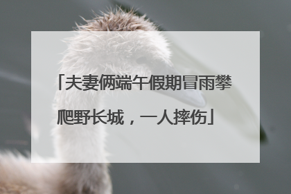 夫妻俩端午假期冒雨攀爬野长城，一人摔伤