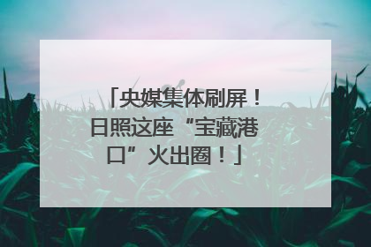 央媒集体刷屏！日照这座“宝藏港口”火出圈！