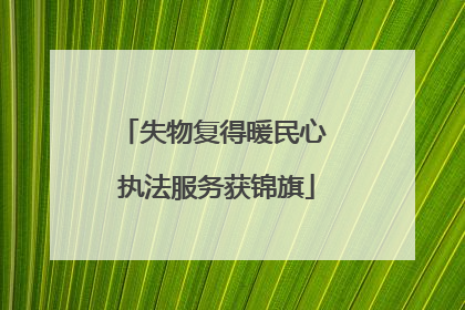 失物复得暖民心 执法服务获锦旗