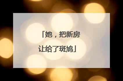 她，把新房让给了斑鸠
