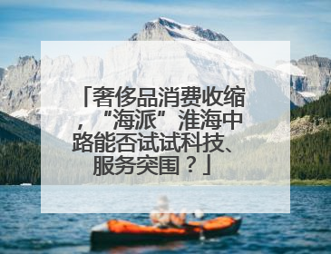 奢侈品消费收缩，“海派”淮海中路能否试试科技、服务突围？