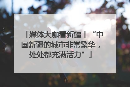 媒体大咖看新疆丨“中国新疆的城市非常繁华，处处都充满活力”