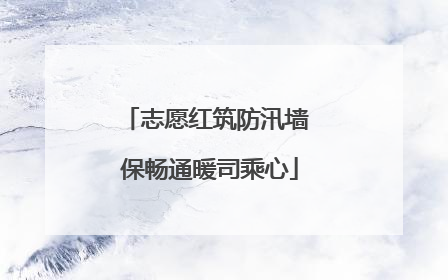志愿红筑防汛墙 保畅通暖司乘心