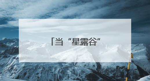 当“星露谷”照进现实：康旅集团乡村旅居的多元共生样本