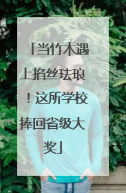 当竹木遇上掐丝珐琅！这所学校捧回省级大奖