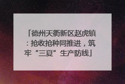 德州天衢新区赵虎镇：抢收抢种同推进，筑牢“三夏”生产防线