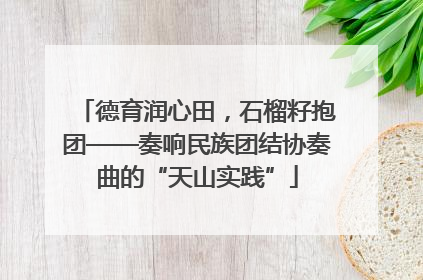 德育润心田，石榴籽抱团——奏响民族团结协奏曲的“天山实践”