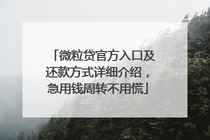 微粒贷官方入口及还款方式详细介绍，急用钱周转不用慌