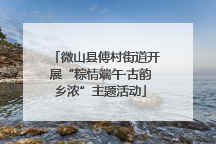 微山县傅村街道开展“粽情端午·古韵乡浓”主题活动