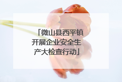 微山县西平镇开展企业安全生产大检查行动