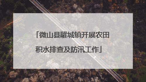 微山县驩城镇开展农田积水排查及防汛工作