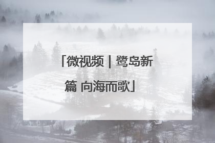 微视频｜鹭岛新篇 向海而歌