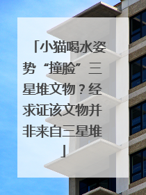 小猫喝水姿势“撞脸”三星堆文物？经求证该文物并非来自三星堆