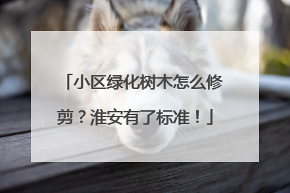 小区绿化树木怎么修剪？淮安有了标准！