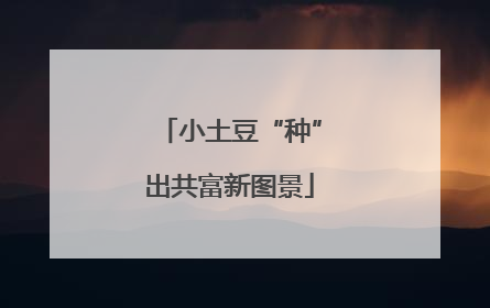 小土豆“种”出共富新图景