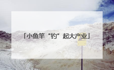 小鱼竿“钓”起大产业