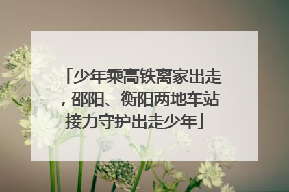 少年乘高铁离家出走，邵阳、衡阳两地车站接力守护出走少年