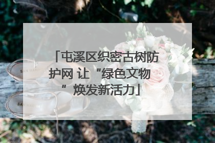 屯溪区织密古树防护网 让“绿色文物”焕发新活力