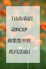 山东省启动RCEP政策集中宣传月活动