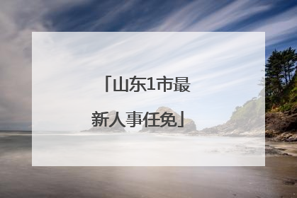 山东1市最新人事任免