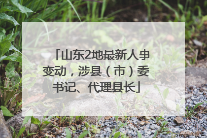 山东2地最新人事变动，涉县（市）委书记、代理县长