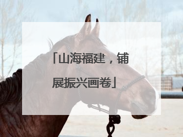 山海福建，铺展振兴画卷