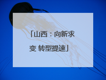 山西：向新求变 转型提速