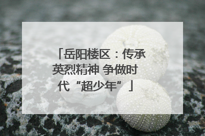 岳阳楼区：传承英烈精神 争做时代“超少年”