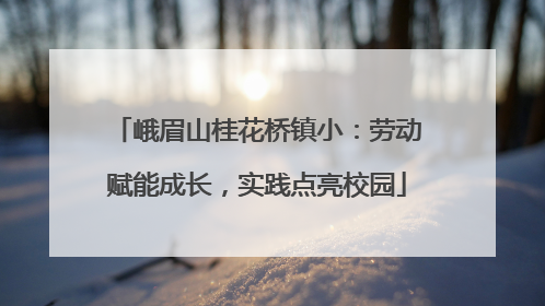 峨眉山桂花桥镇小：劳动赋能成长，实践点亮校园