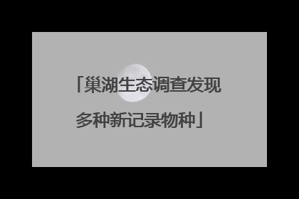 巢湖生态调查发现多种新记录物种