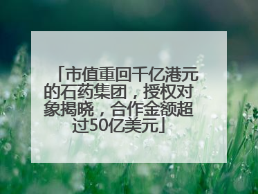 市值重回千亿港元的石药集团，授权对象揭晓，合作金额超过50亿美元