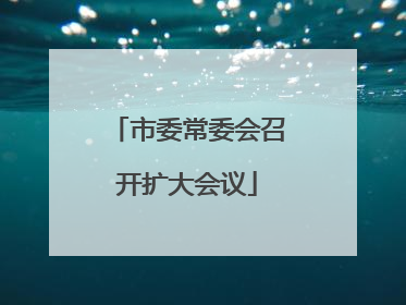 市委常委会召开扩大会议