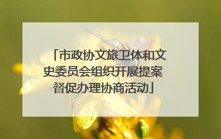 市政协文旅卫体和文史委员会组织开展提案督促办理协商活动