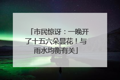 市民惊讶：一晚开了十五六朵昙花！与雨水均衡有关
