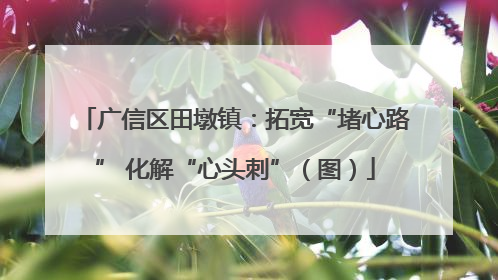 广信区田墩镇：拓宽“堵心路” 化解“心头刺”（图）