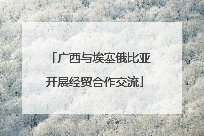 广西与埃塞俄比亚开展经贸合作交流