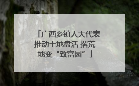 广西乡镇人大代表推动土地盘活 撂荒地变“致富园”