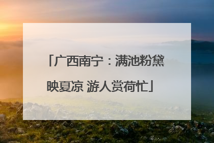 广西南宁：满池粉黛映夏凉 游人赏荷忙