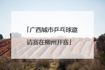 广西城市乒乓球邀请赛在柳州开赛