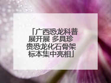 广西恐龙科普展开展 多具珍贵恐龙化石骨架标本集中亮相