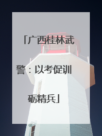 广西桂林武警：以考促训砺精兵